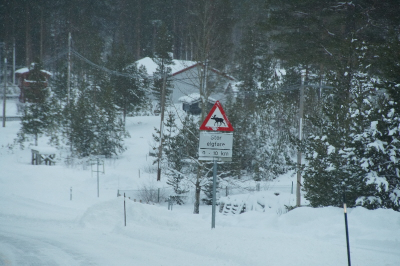 Norwegen-Schnee-14-218