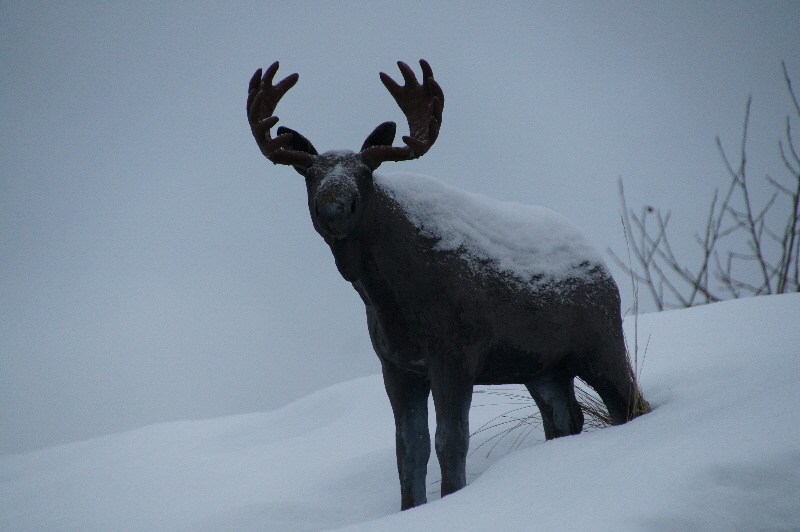 Norwegen-Schnee-14-225